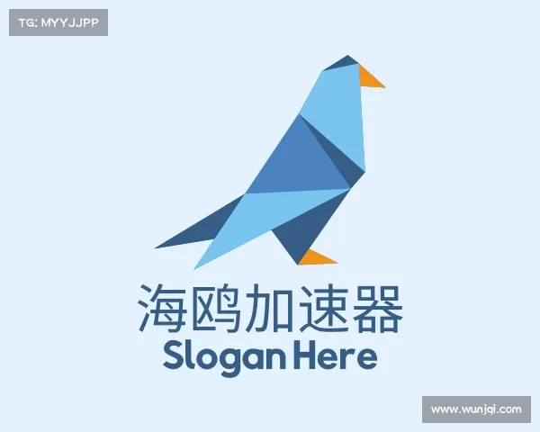 解读海鸥加速器